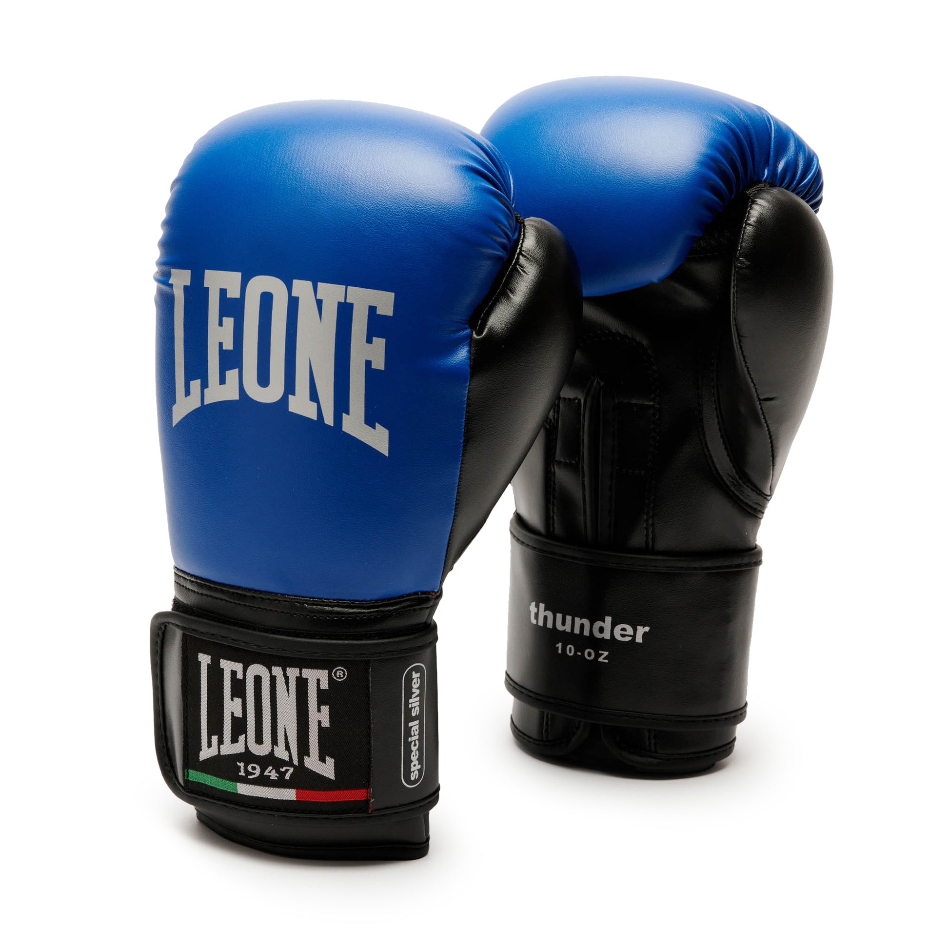 THUNDER BOXING GLOVES
GN383