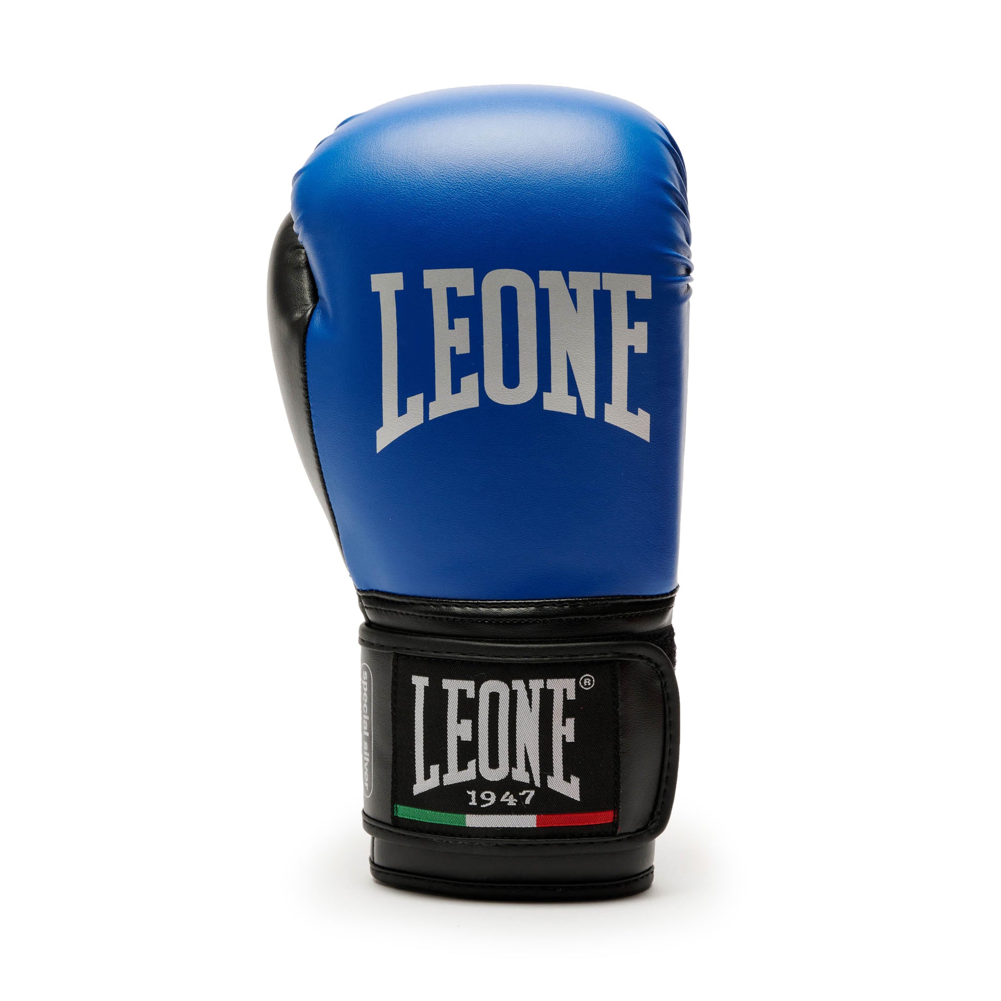 THUNDER BOXING GLOVES
GN383